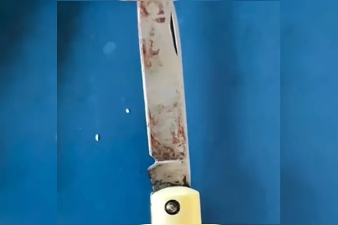 Faca apreendida pela polícia - Foto: Reprodução / PMGO