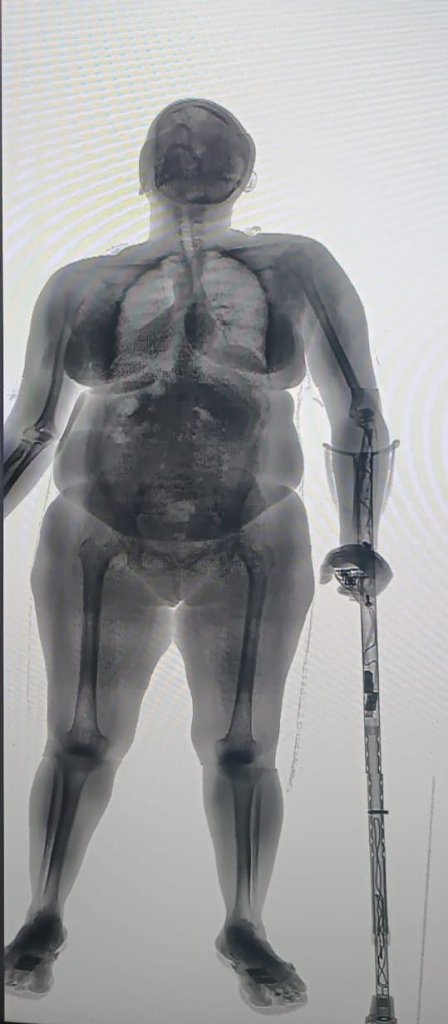  Foto: Divulgação SEAP