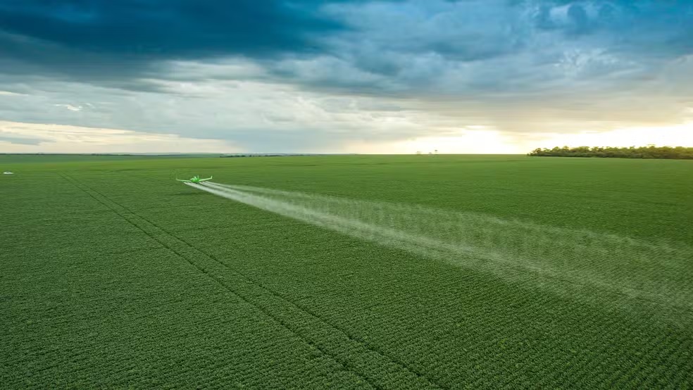 Plantação de milho em Luís Eduardo Magalhães, no oeste da Bahia — Foto: Inpasa Brasil