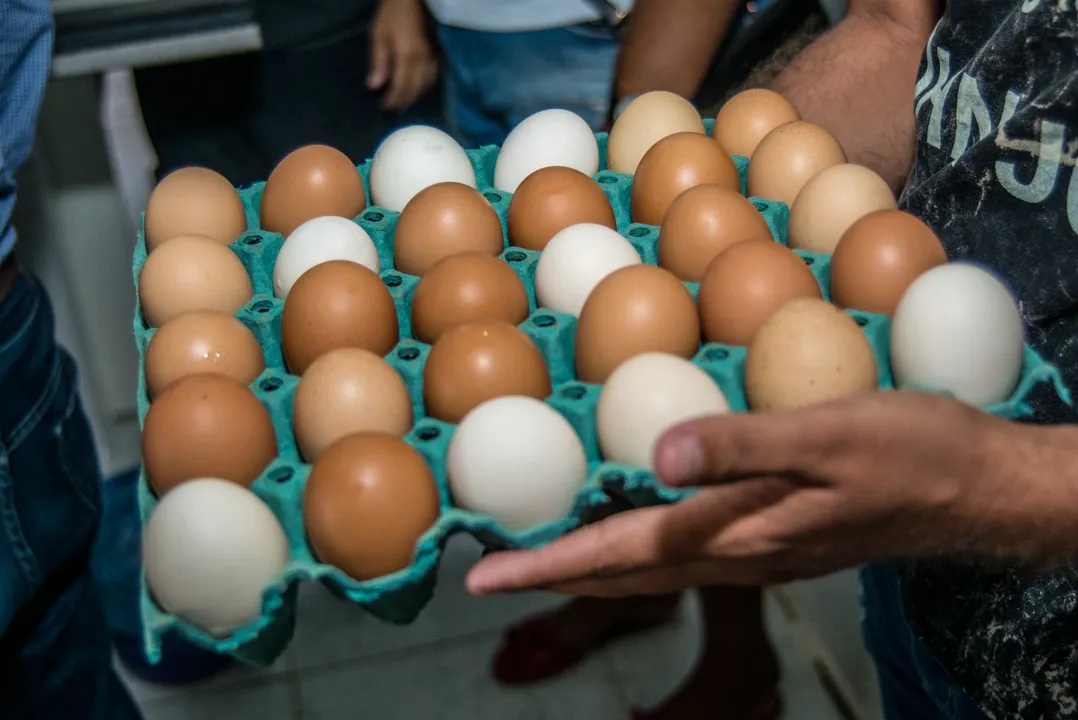 Foto: ANDRÉ FRUTUÔSO / DIVULGAÇÃO