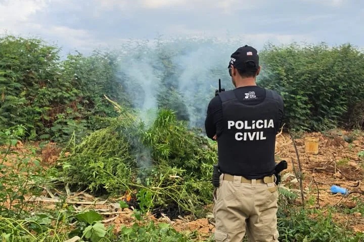 Foto: Divulgação | Policia Civil